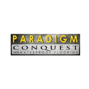 paradigm
